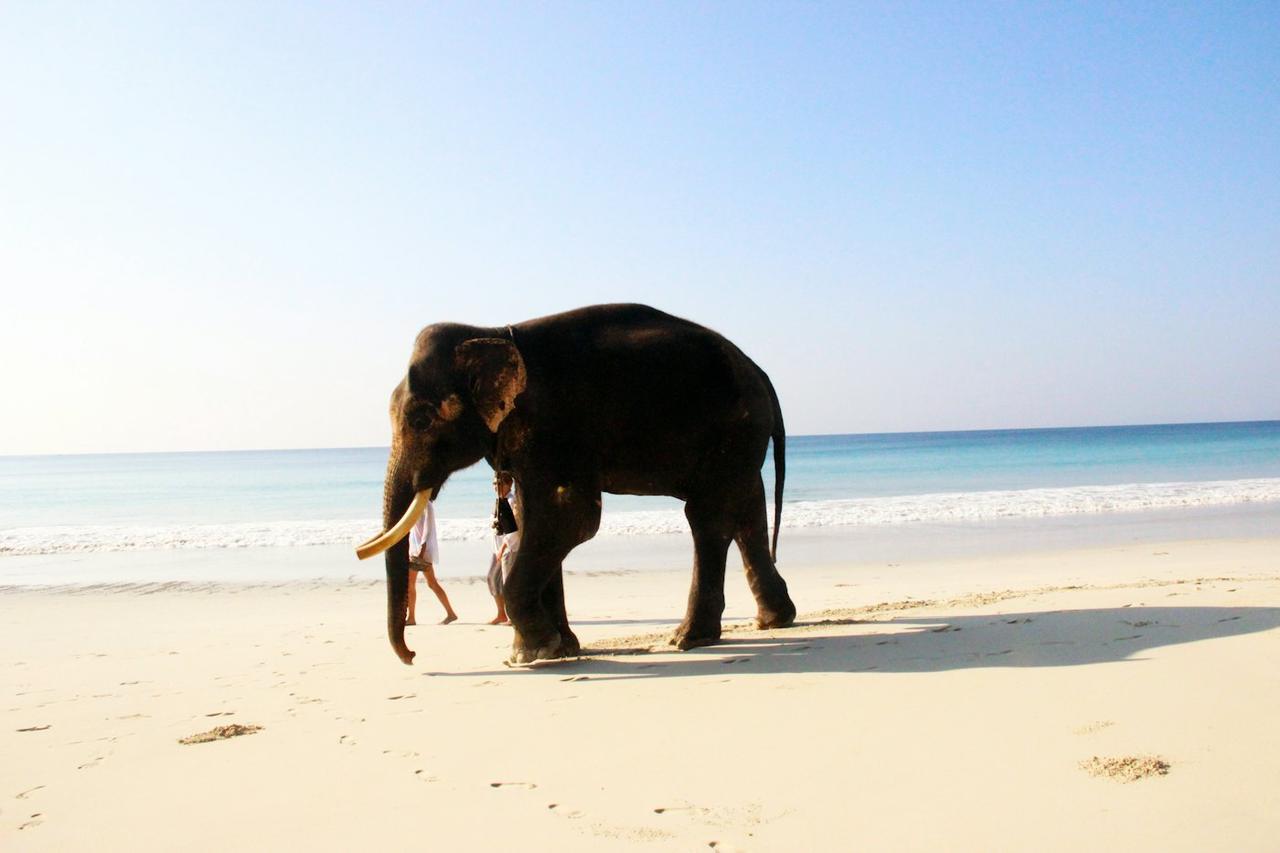 Port Blair, Havelock and Neil Island Group Trip