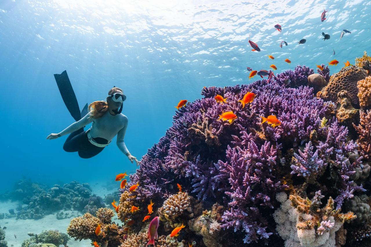 Scuba and Snorkelling