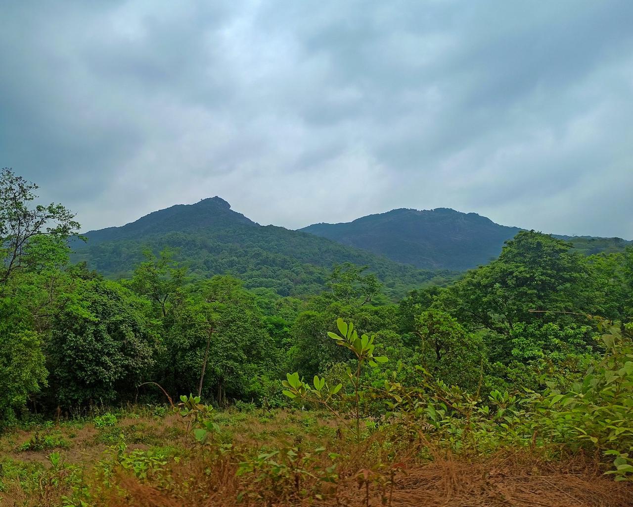 Goa Family Holiday: Dudhsagar, Spice Plantation and Beaches