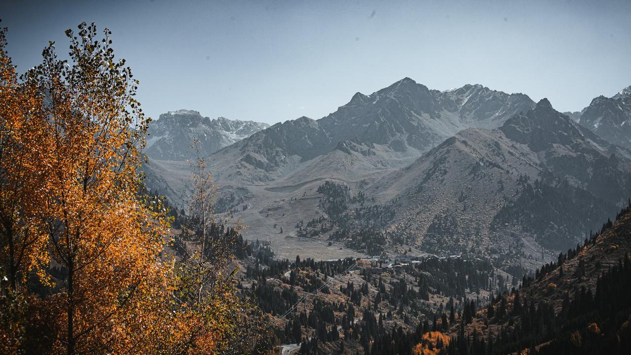Simply Almaty