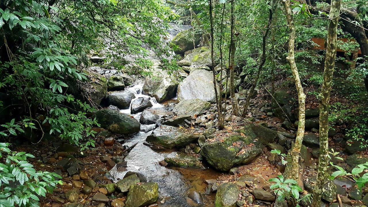 Wayanad Wilds: Caves, Waterfalls and Forest Trails