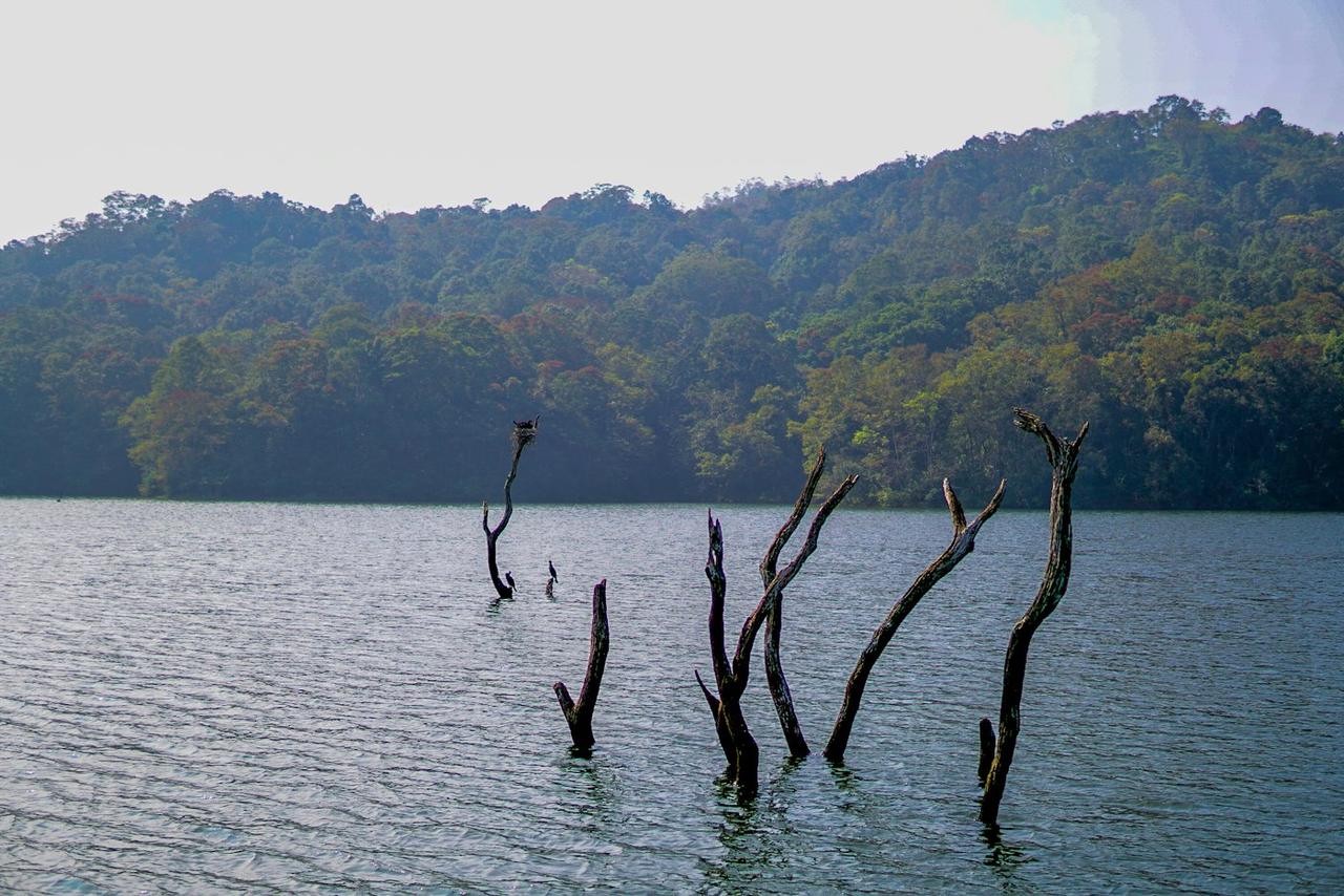 Kerala Hills, Backwaters and Beaches Group Trip, photo 3