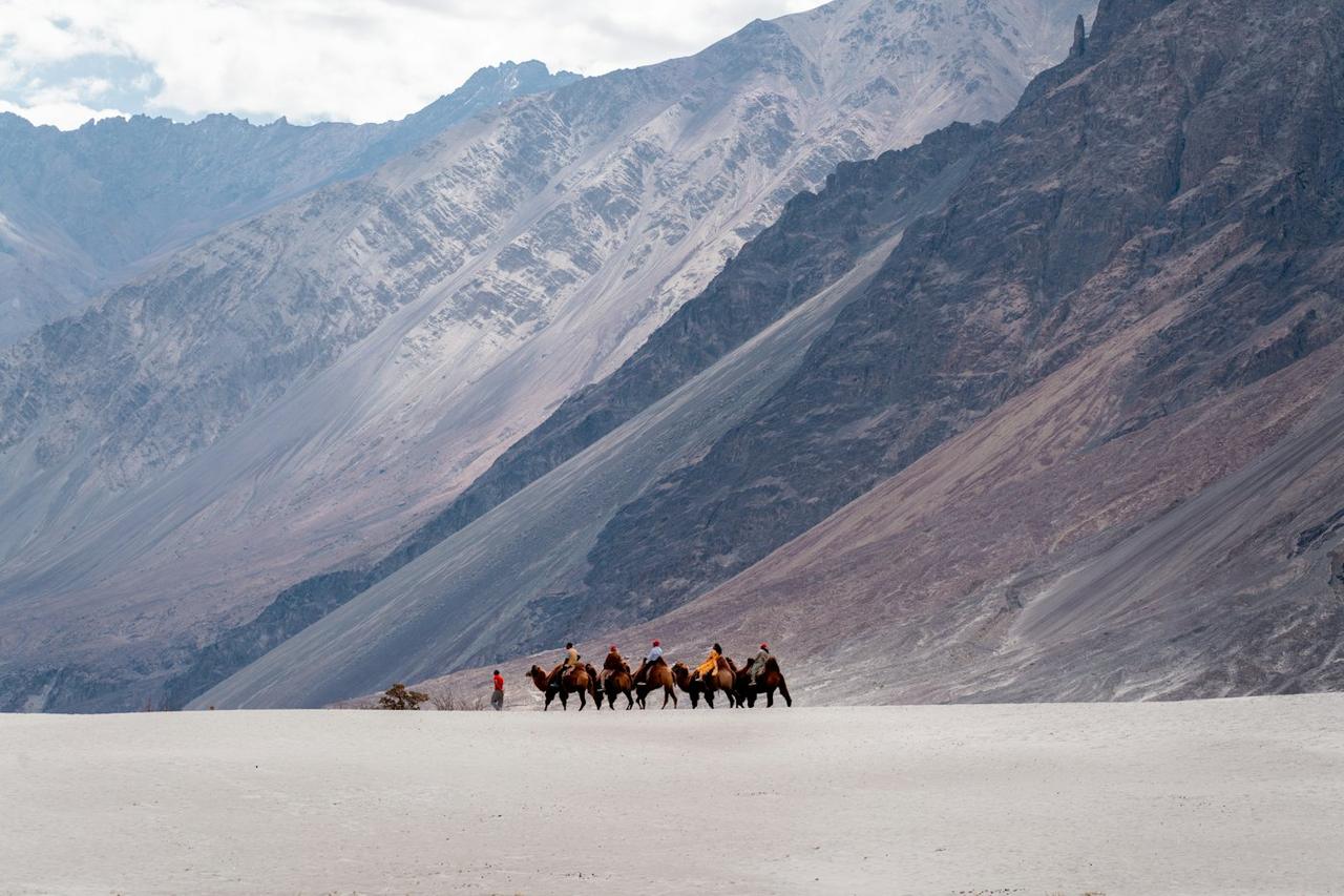 Ladakh Honeymoon: Leh, Hunder Dunes and a Night at Pangong Tso