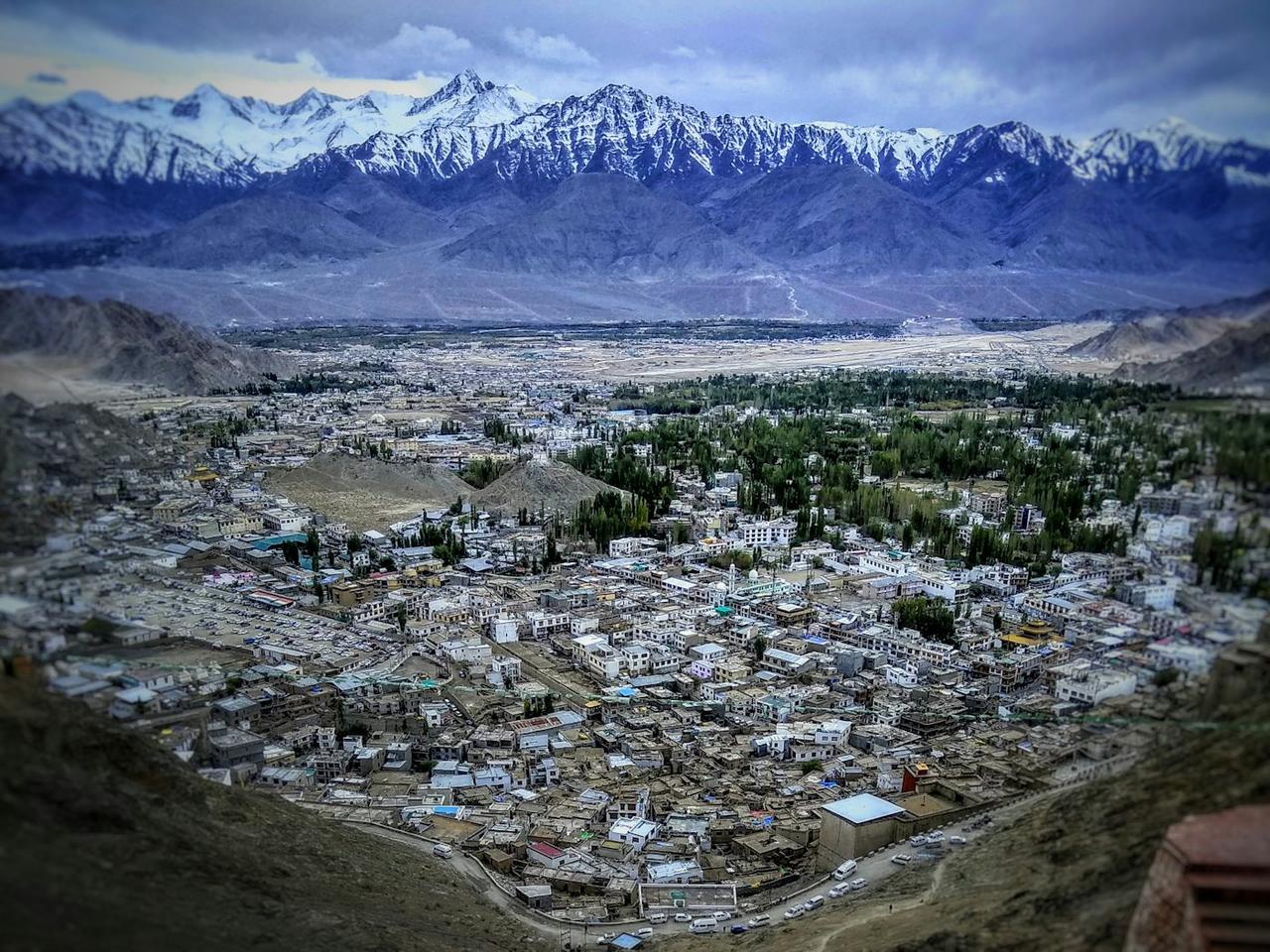 Ladakh Honeymoon: Leh, Hunder Dunes and a Night at Pangong Tso, photo 3