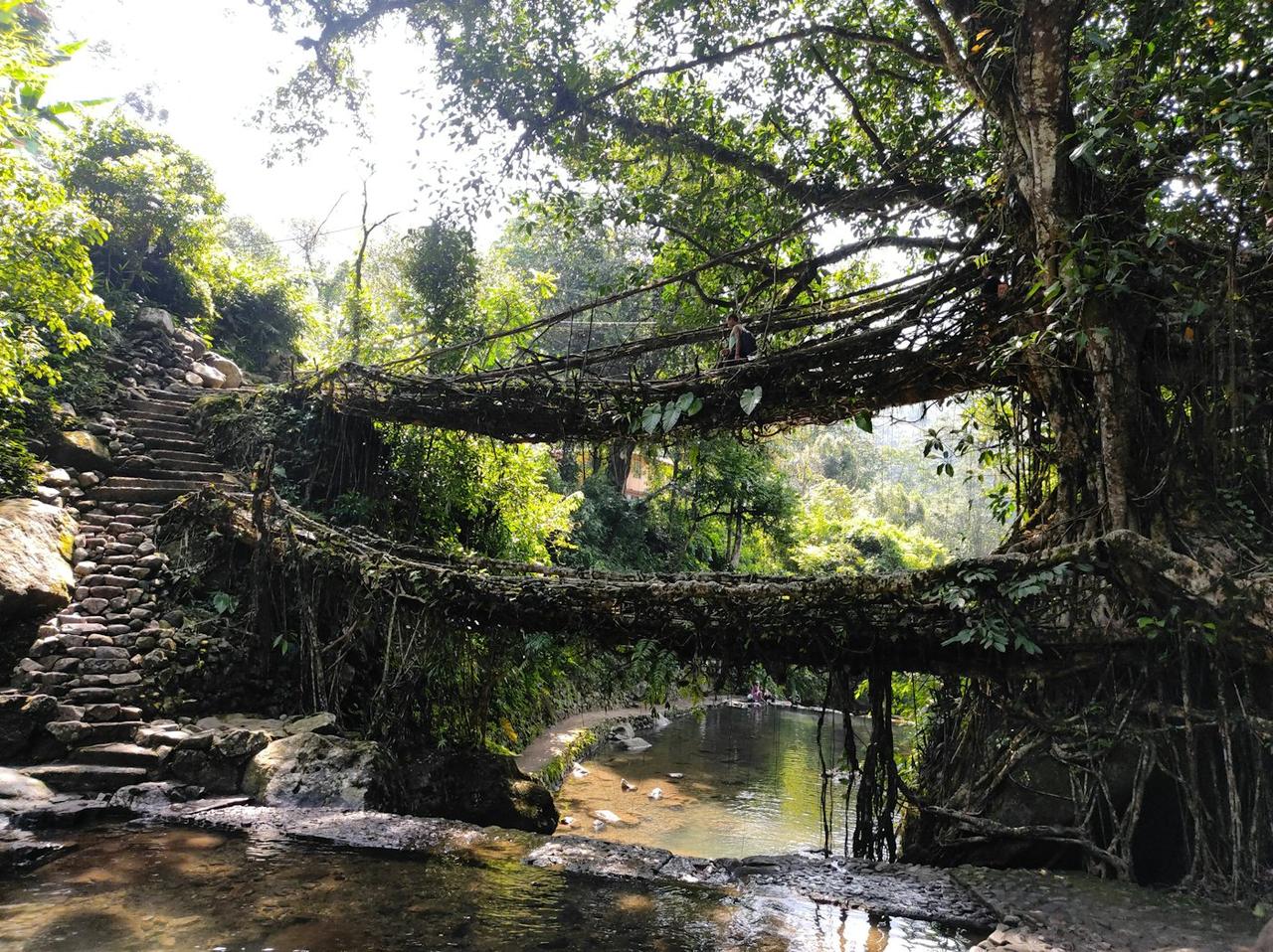 Meghalaya Root Bridges, Waterfalls and Dawki Group Trip
