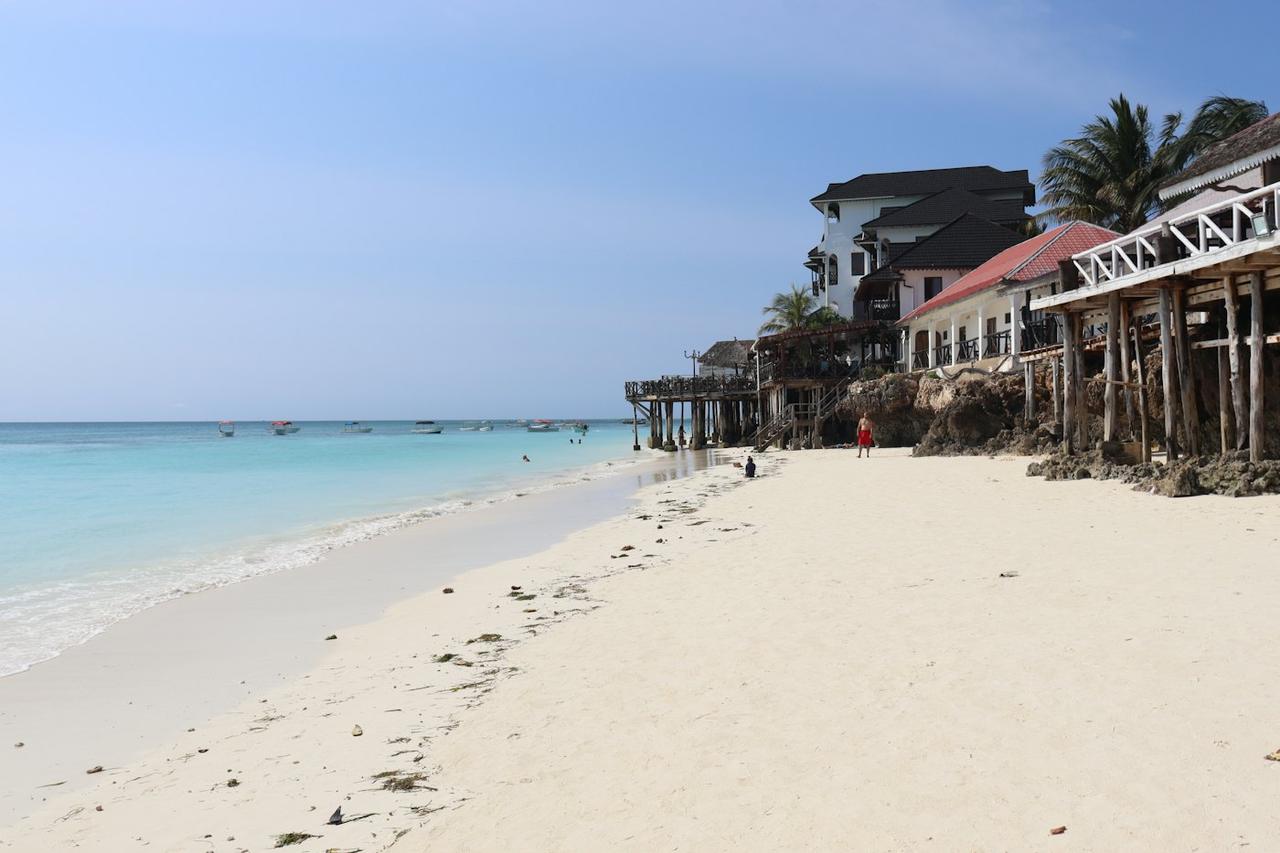 Tanzania Safari and Zanzibar Beach Group Trip
