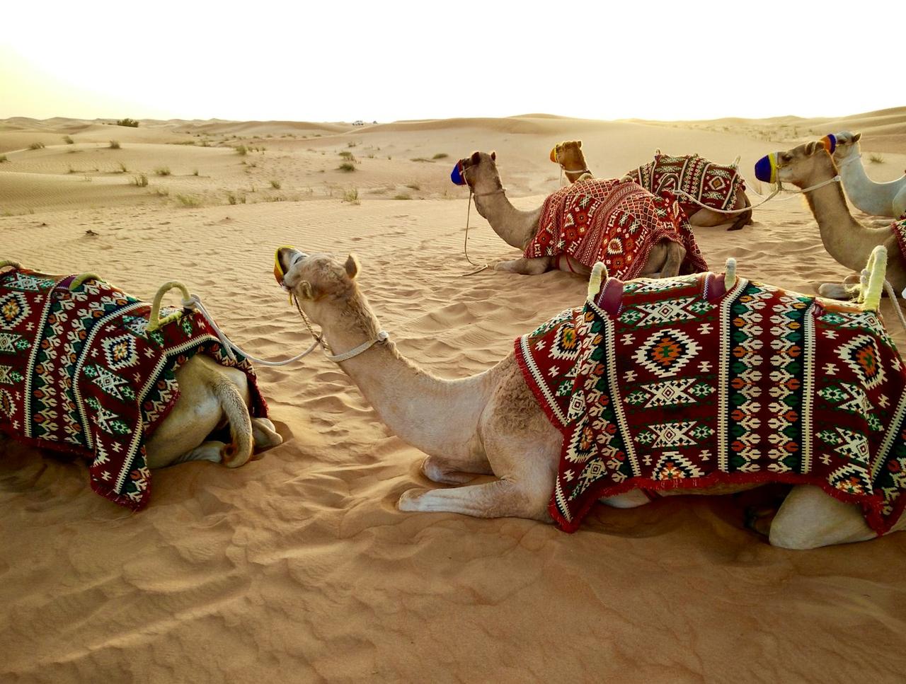 Dubai Buy 1 Get 1 Free