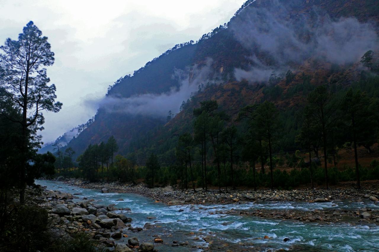 Ganga Aarti, Rafting and Mussoorie Group Trip, photo 4