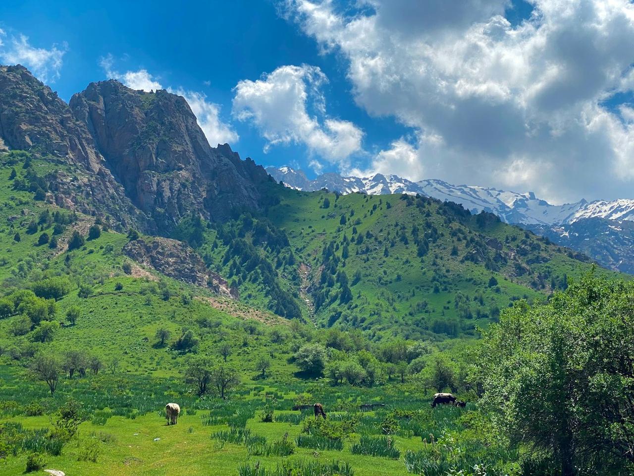 Uzbekistan with Amirsoy Van Tours