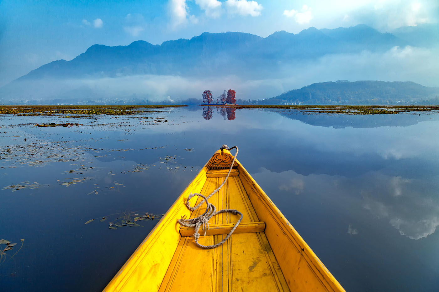 Kashmir Delight
